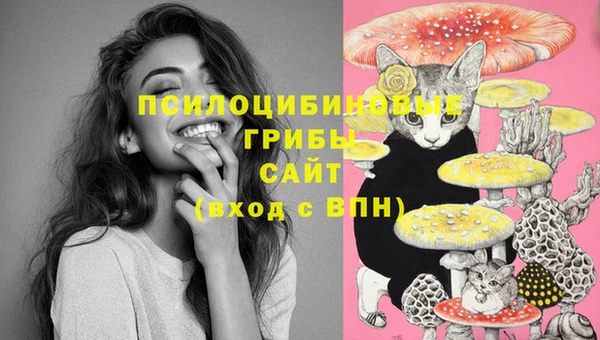 MDMA Белокуриха