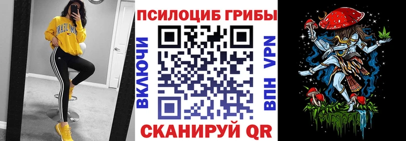 Псилоцибиновые грибы Psilocybe  Городовиковск 
